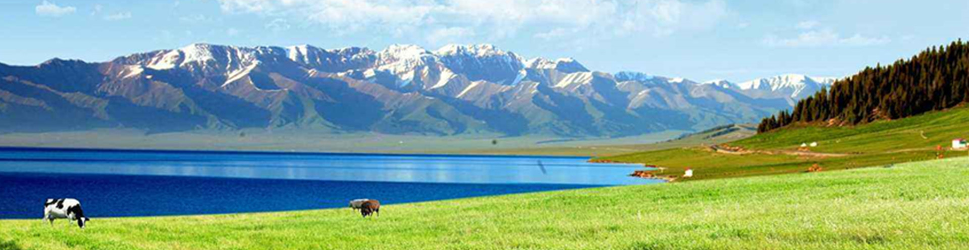 工業(yè)除塵設(shè)備